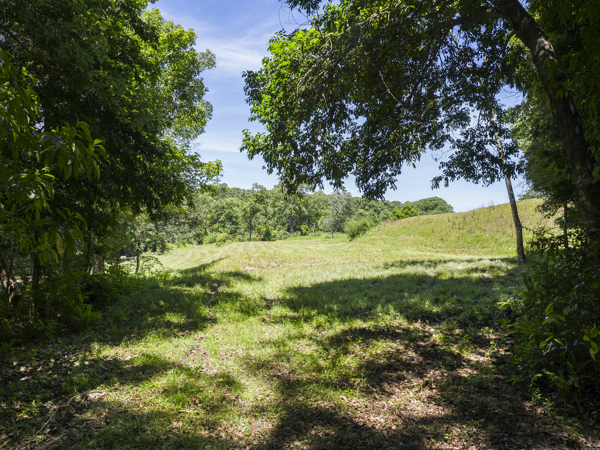 field