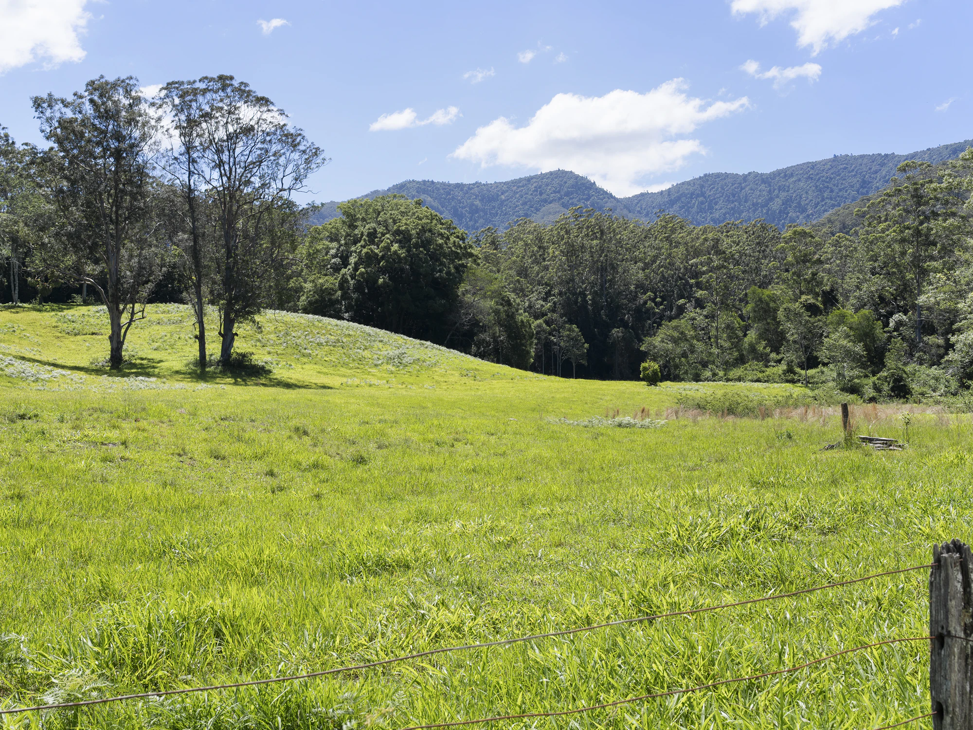 countryside