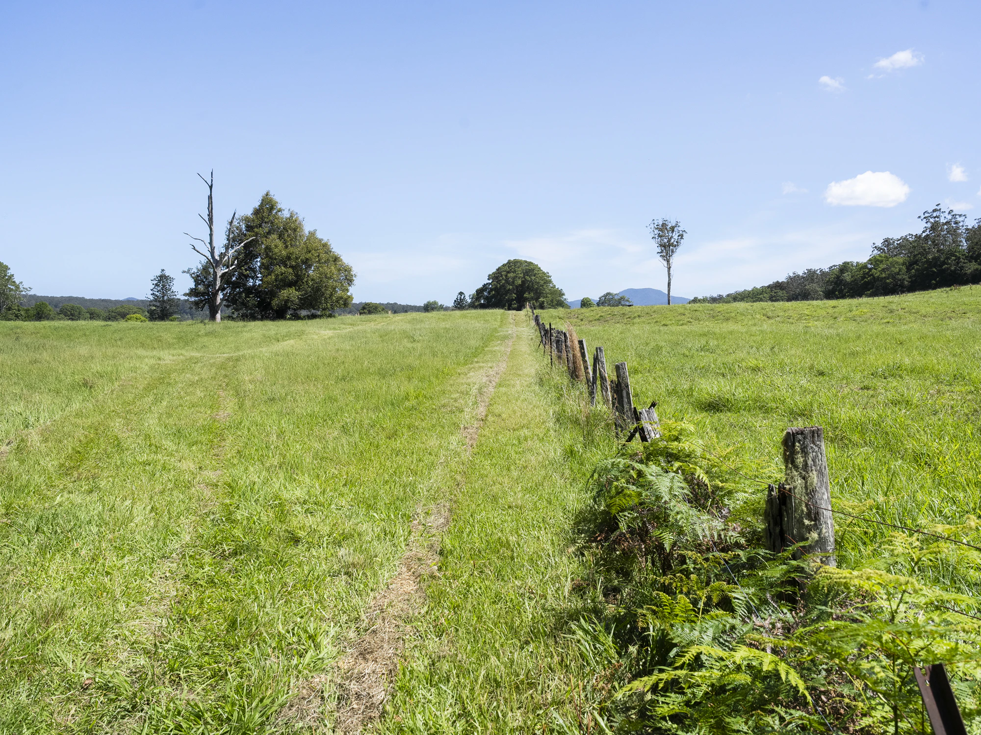 countryside