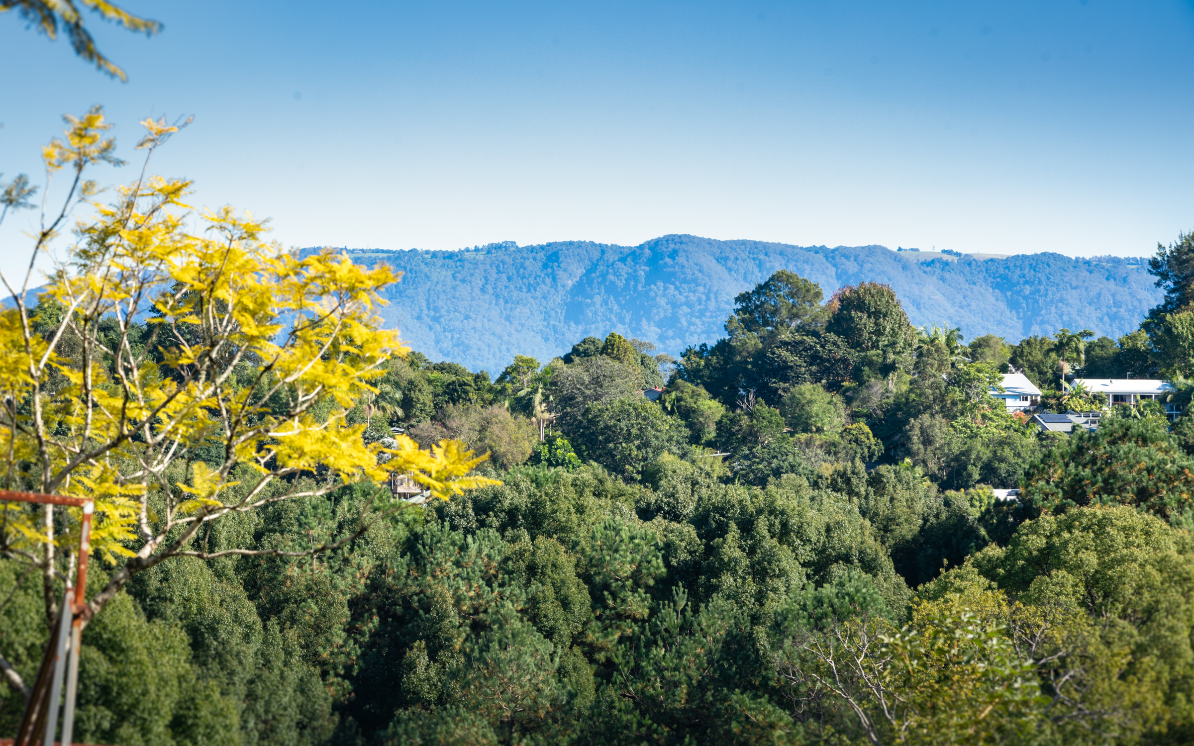 6 Hydes Creek Road, Bellingen - Thumbnail 8
