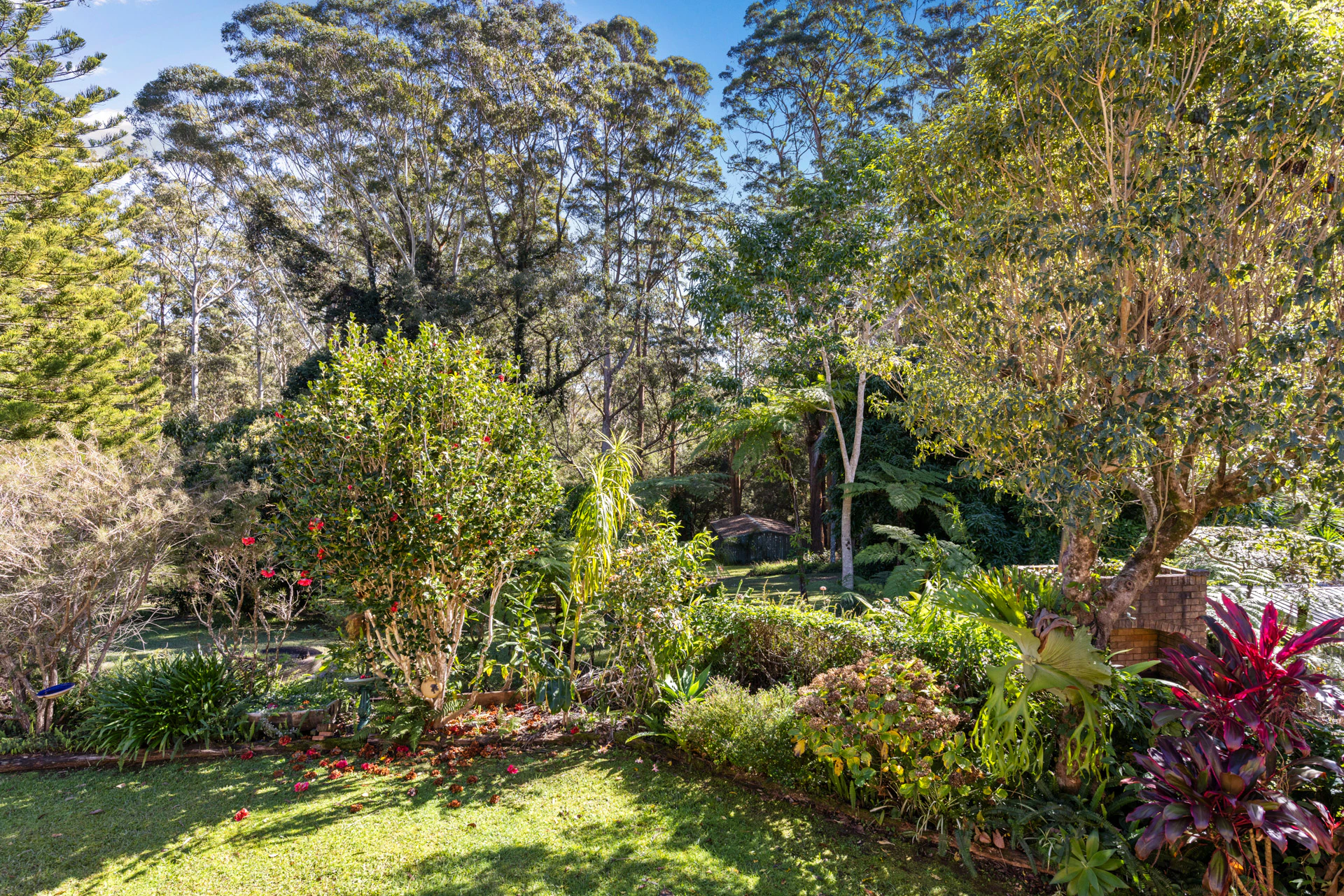 vegetation