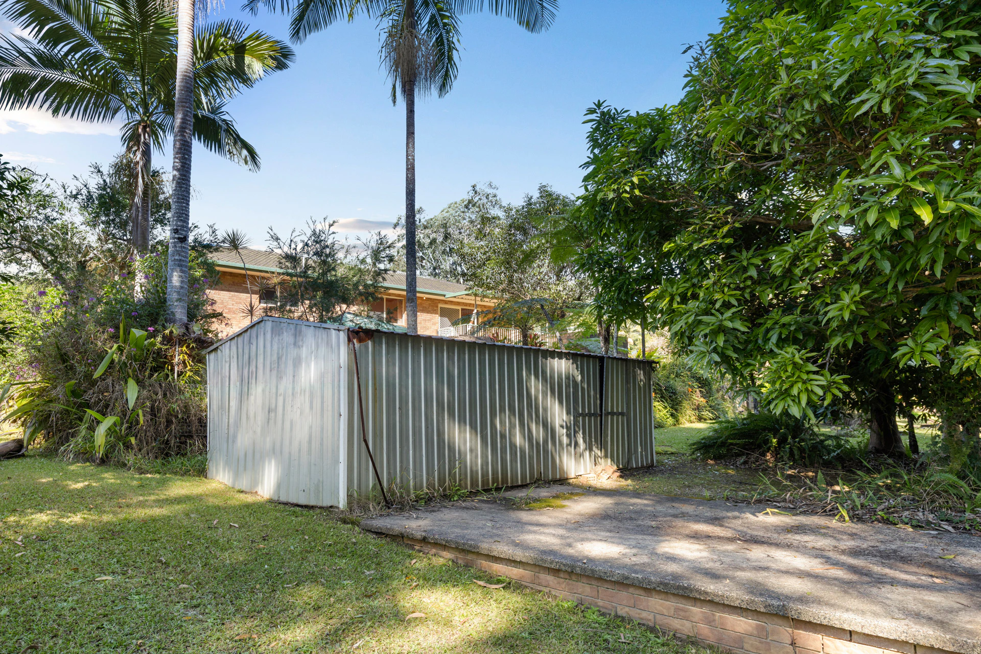 backyard