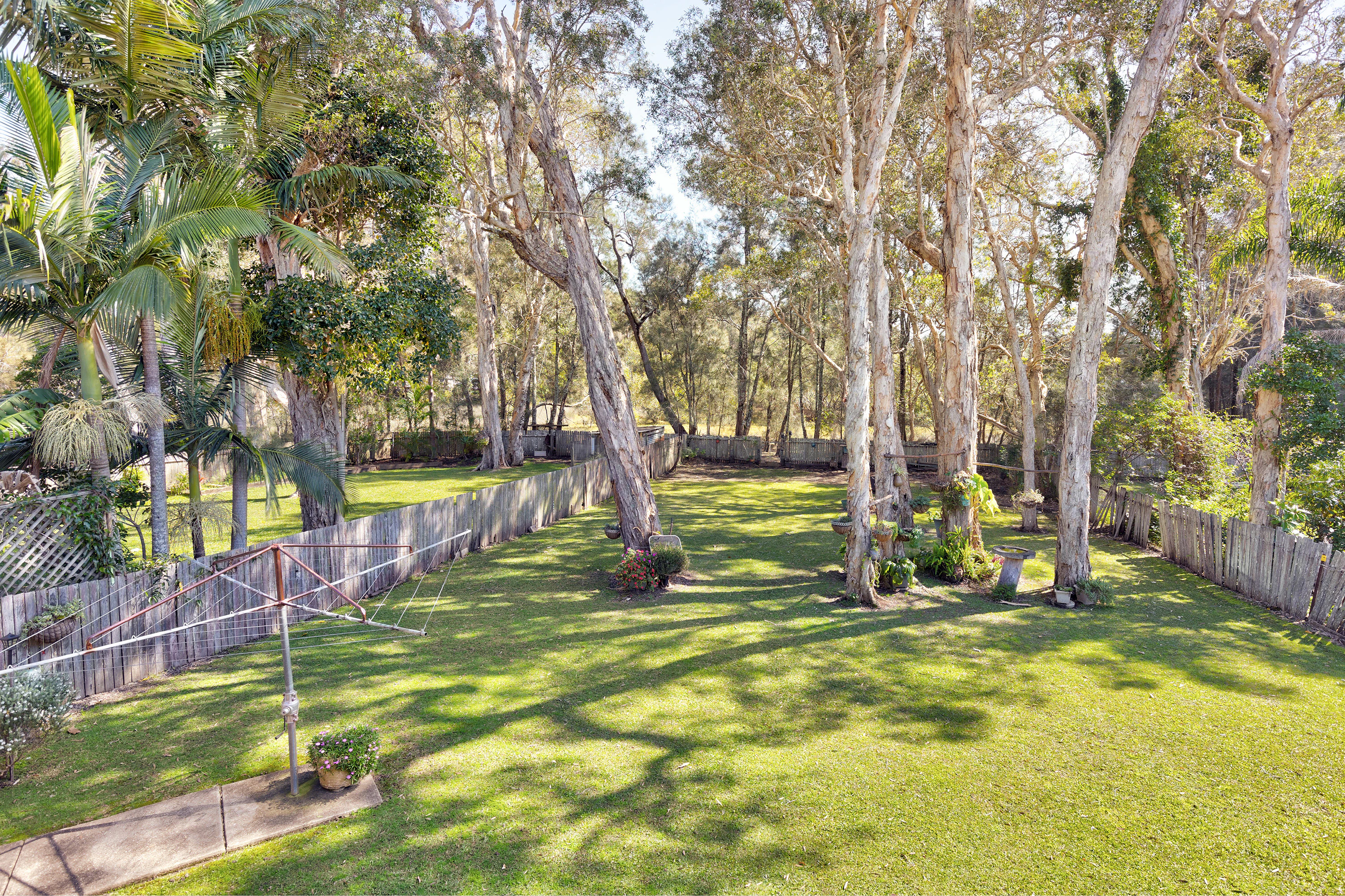 backyard