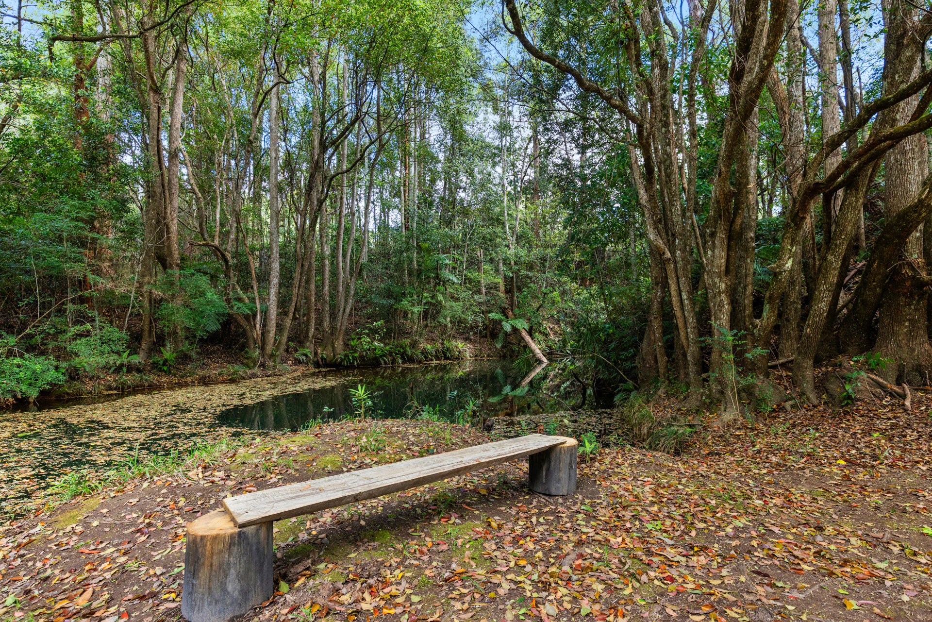 bench