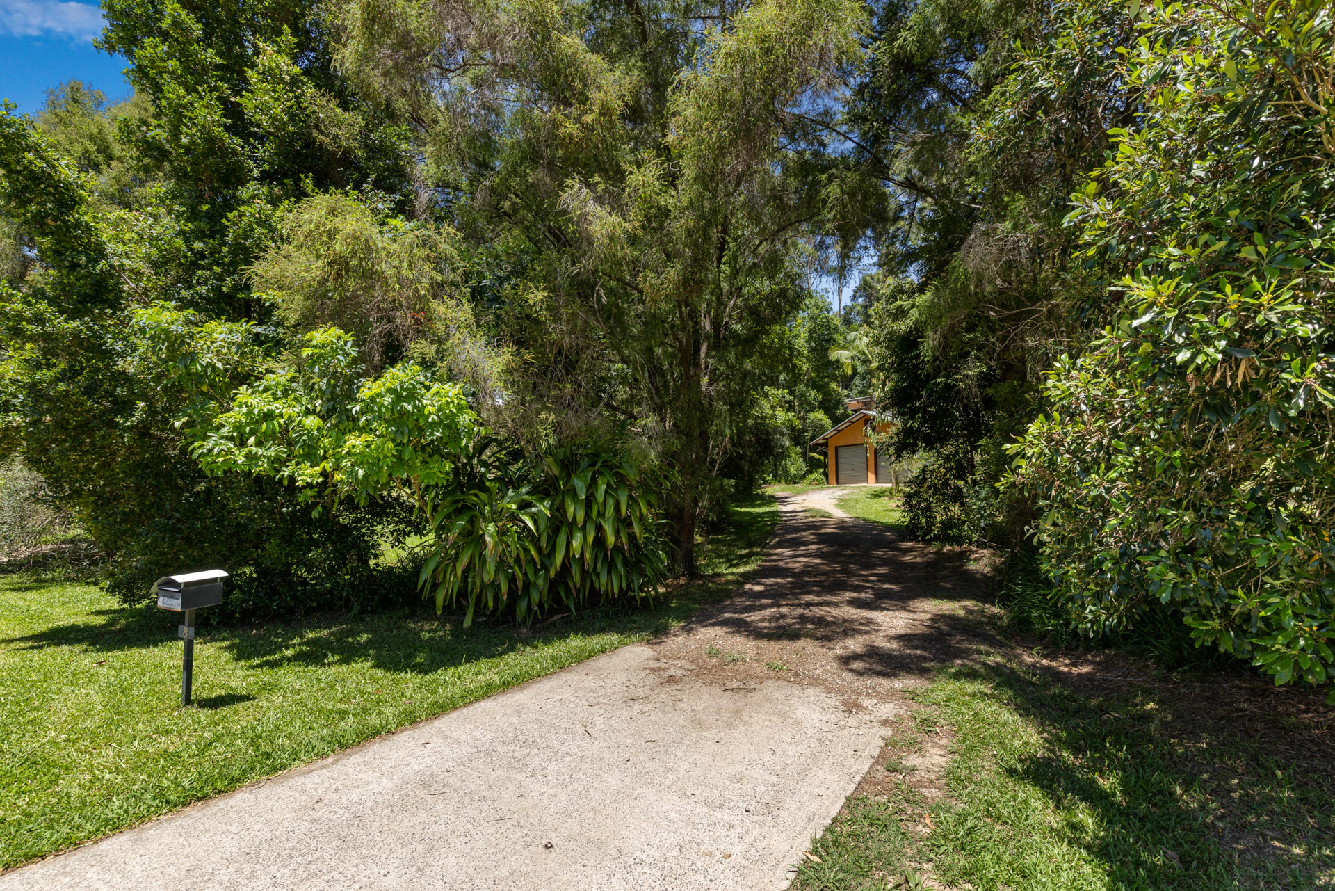 vegetation