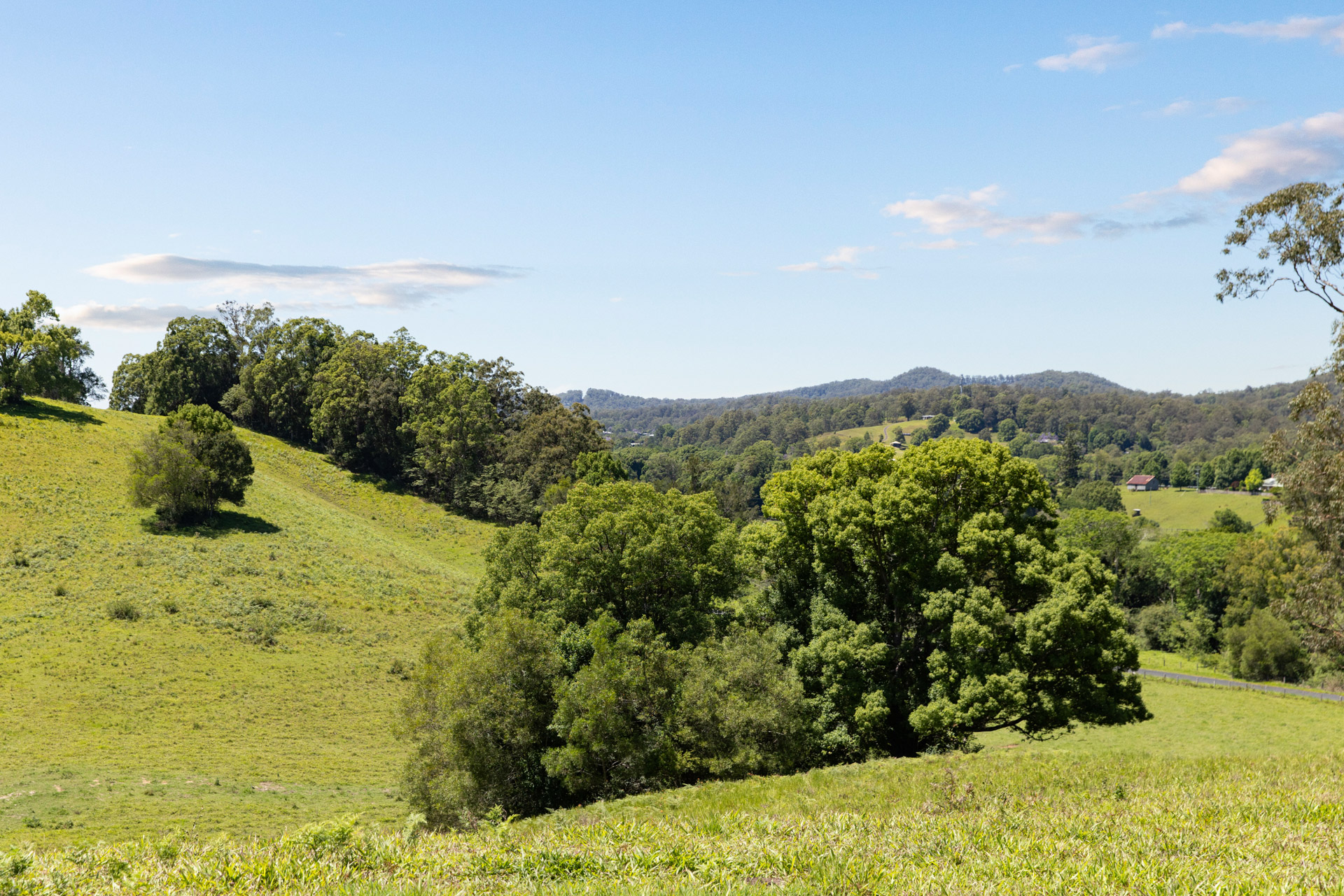 60 Roses Road, Bellingen - Thumbnail 5
