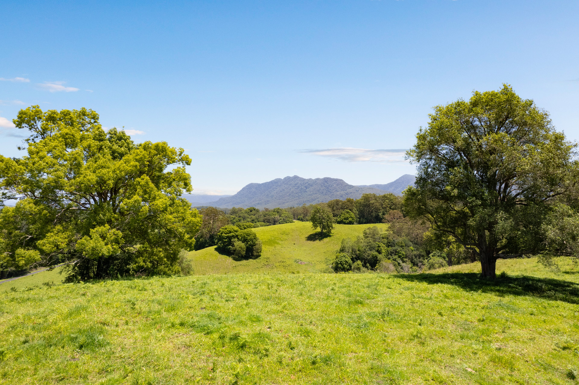 222 Gleniffer Road, Bellingen - Thumbnail 3
