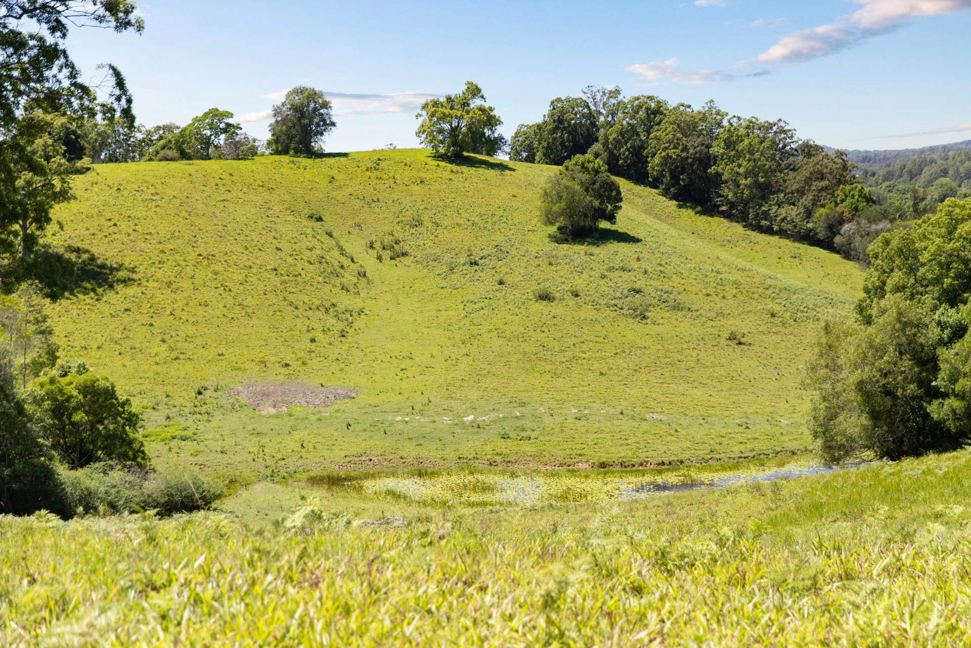 countryside