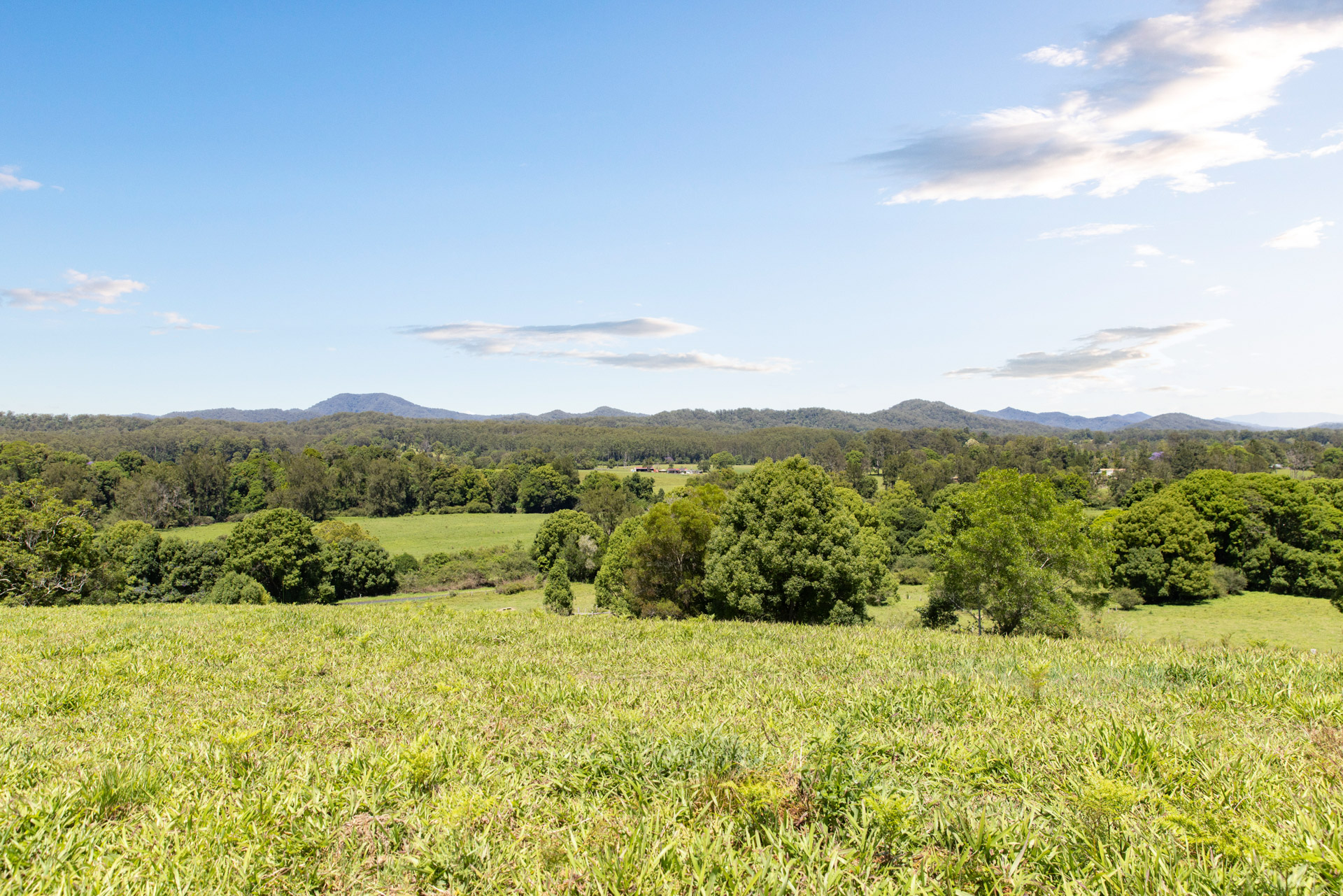 60 Roses Road, Bellingen - Thumbnail 8