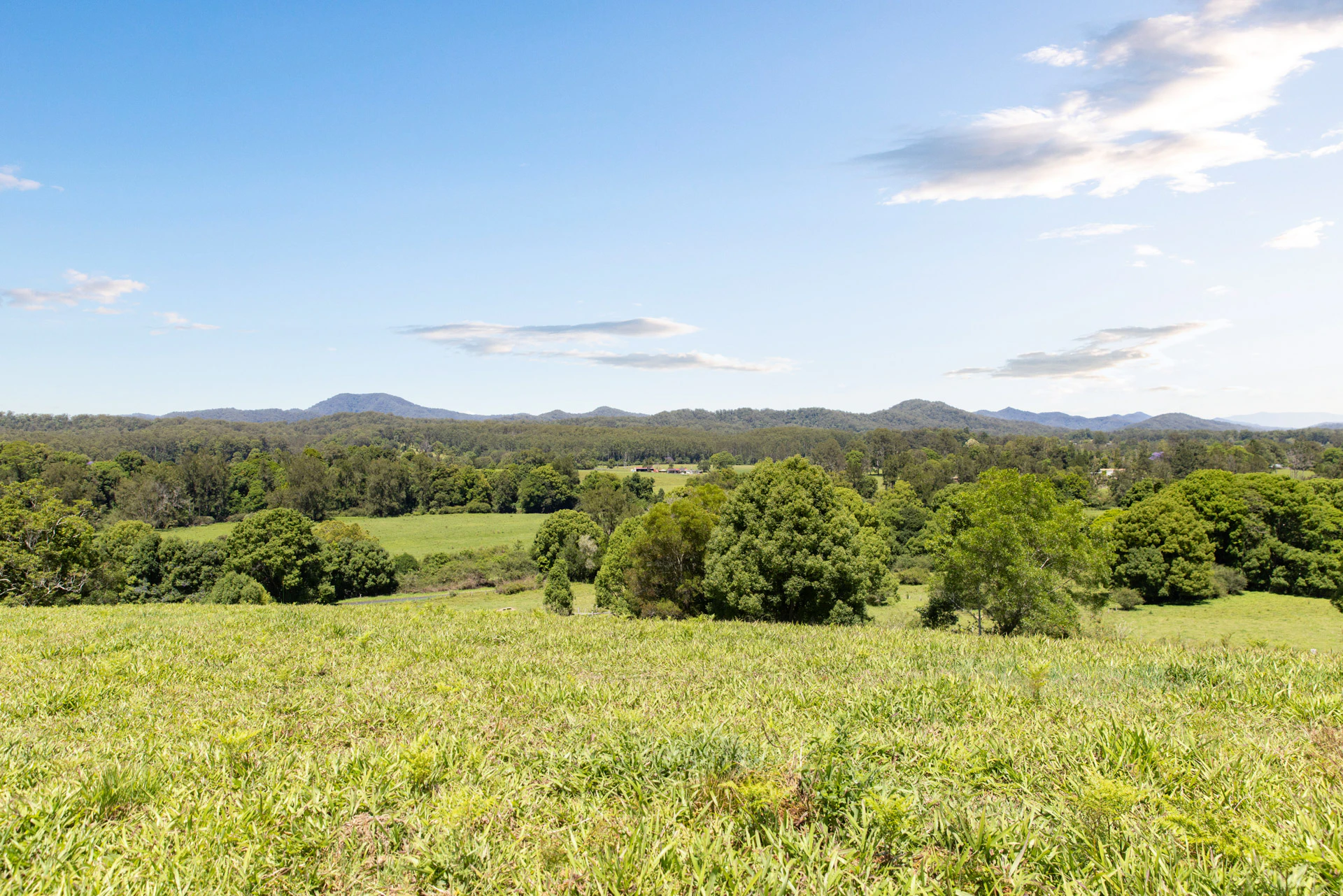 countryside