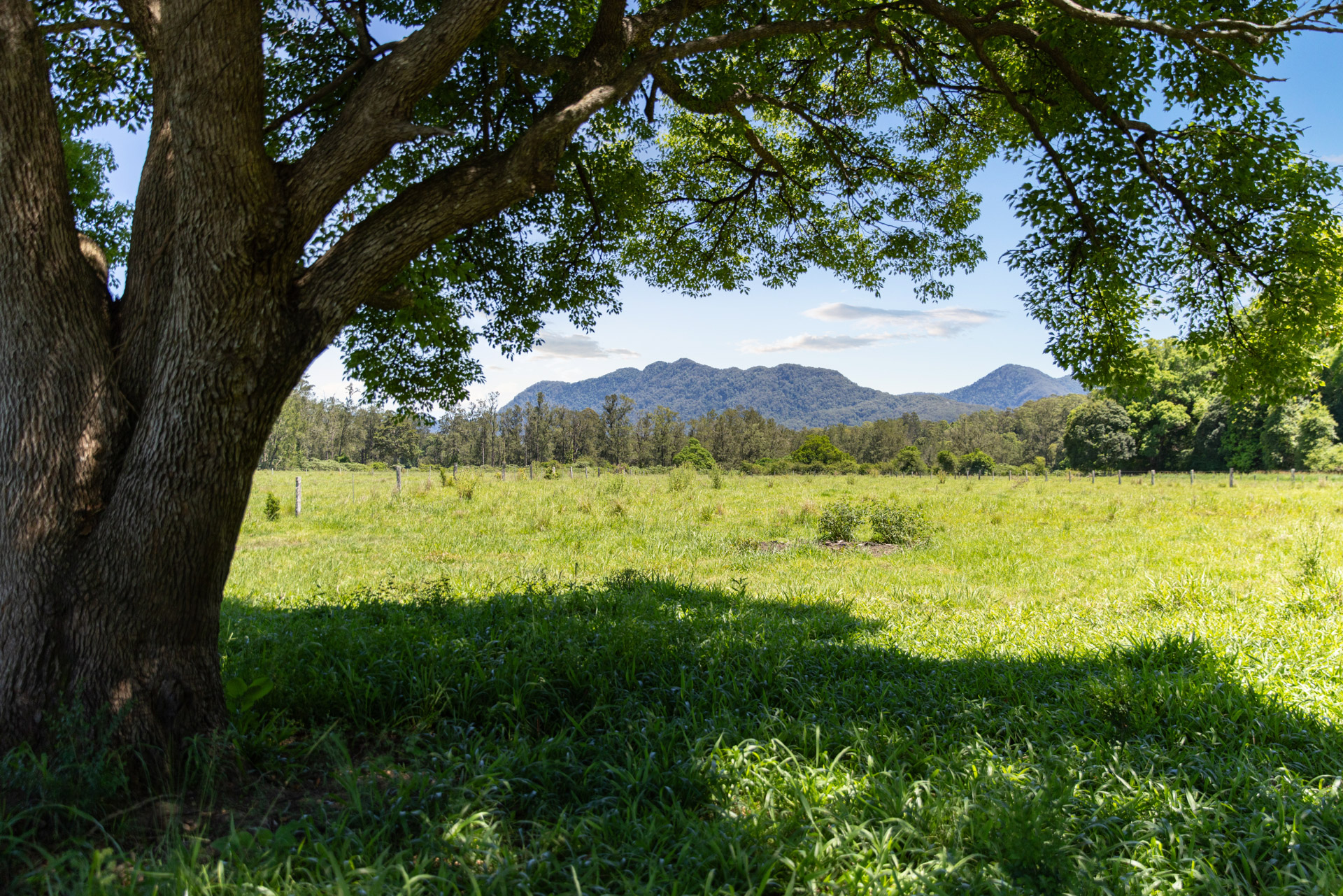 60 Roses Road, Bellingen - Thumbnail 7