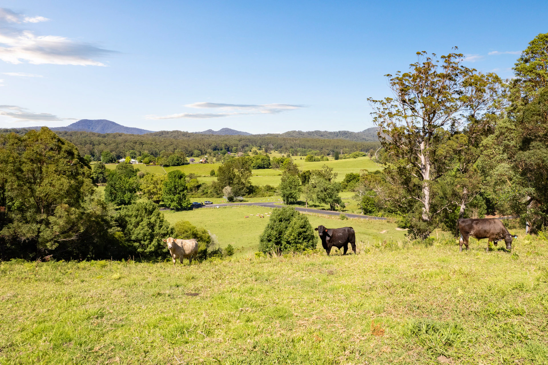 countryside