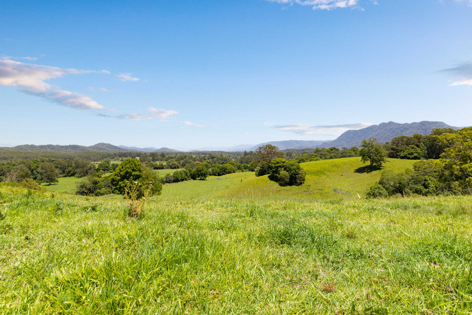 222 Gleniffer Road, Bellingen - Thumbnail 7