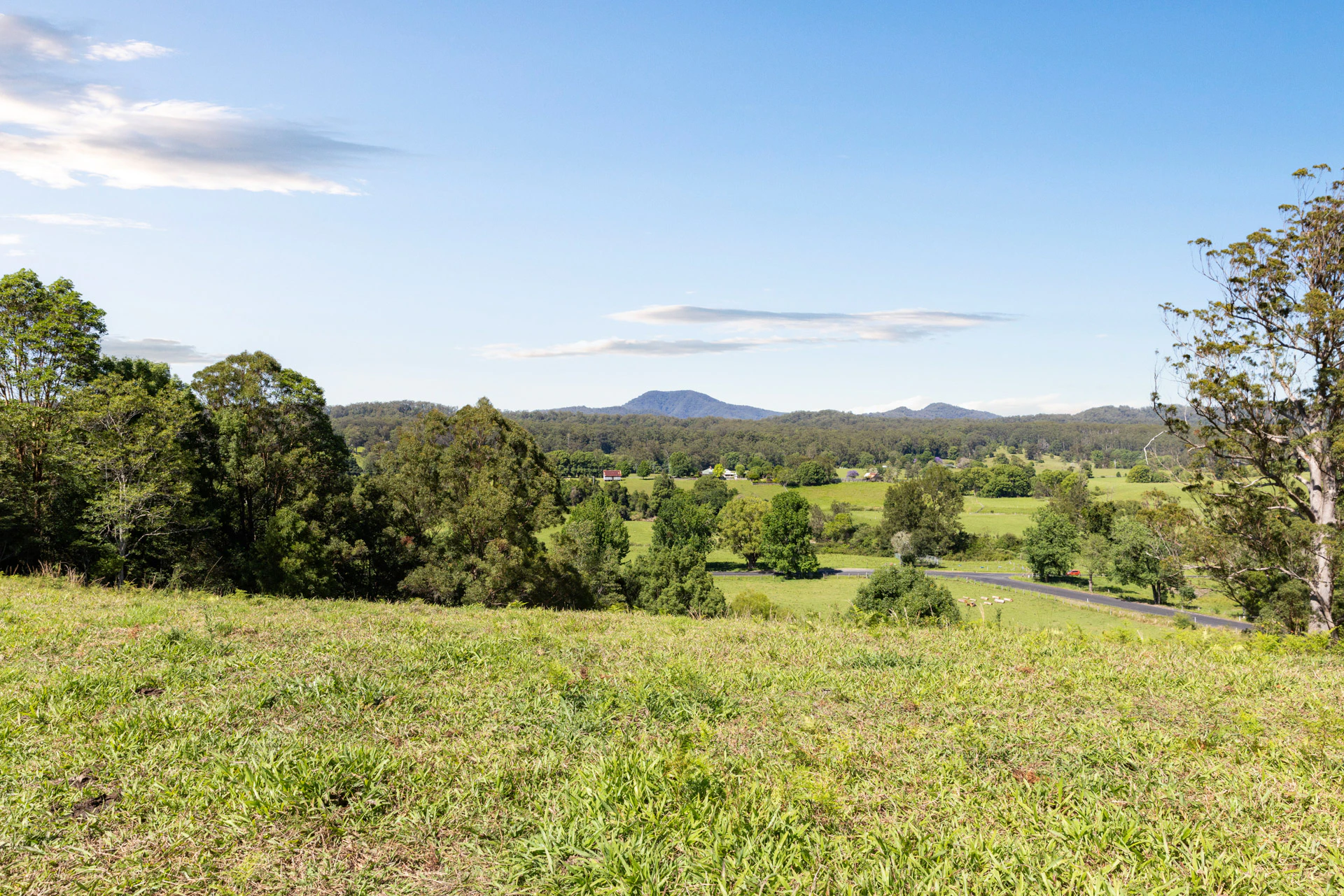 countryside