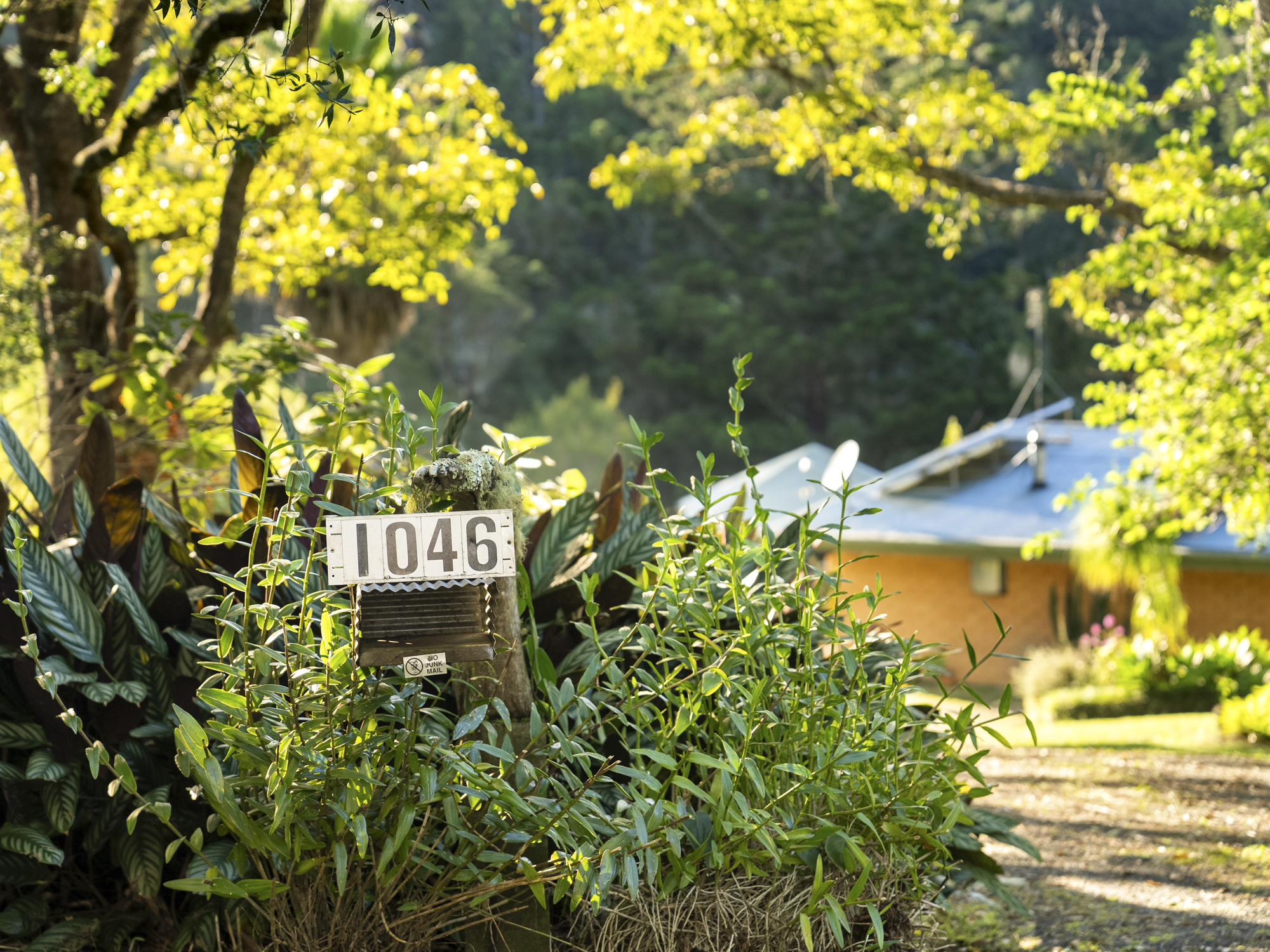 1046 South Arm Road, Bellingen - Thumbnail 6
