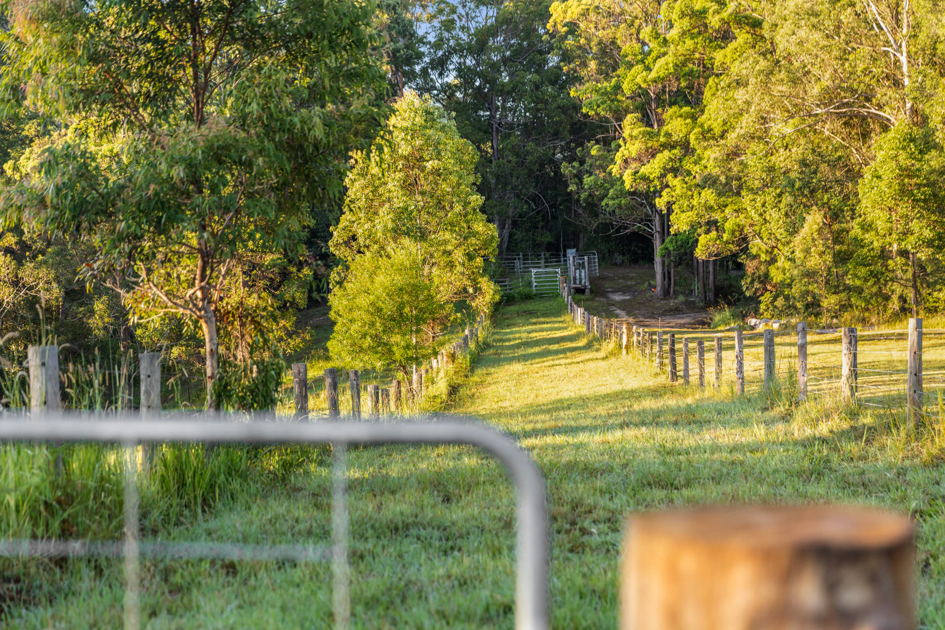 countryside