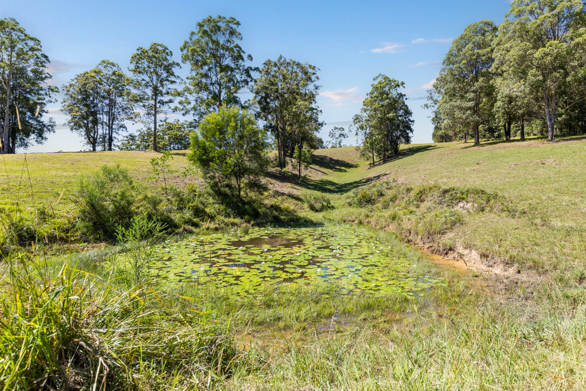 field