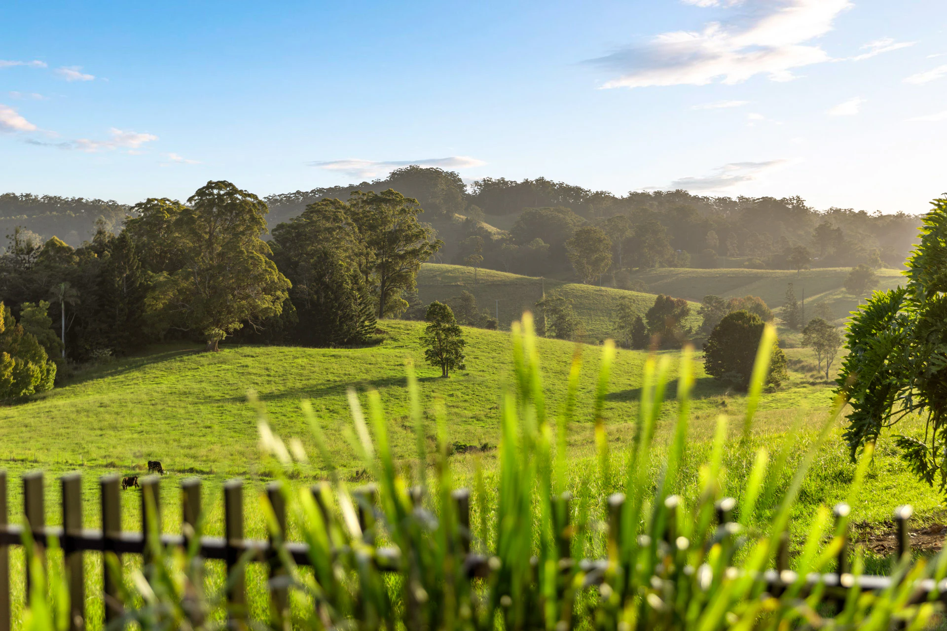 countryside