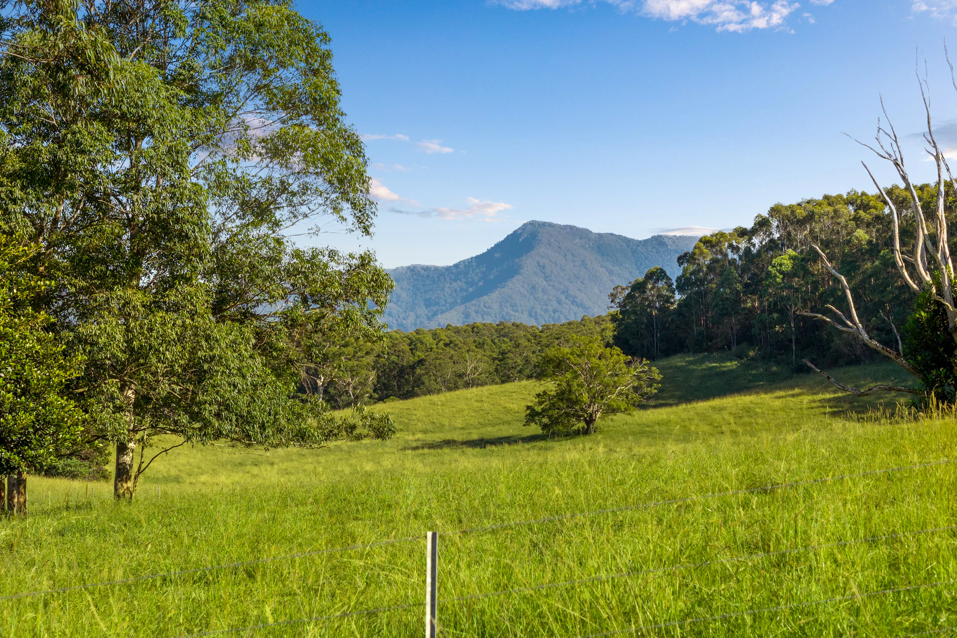 countryside