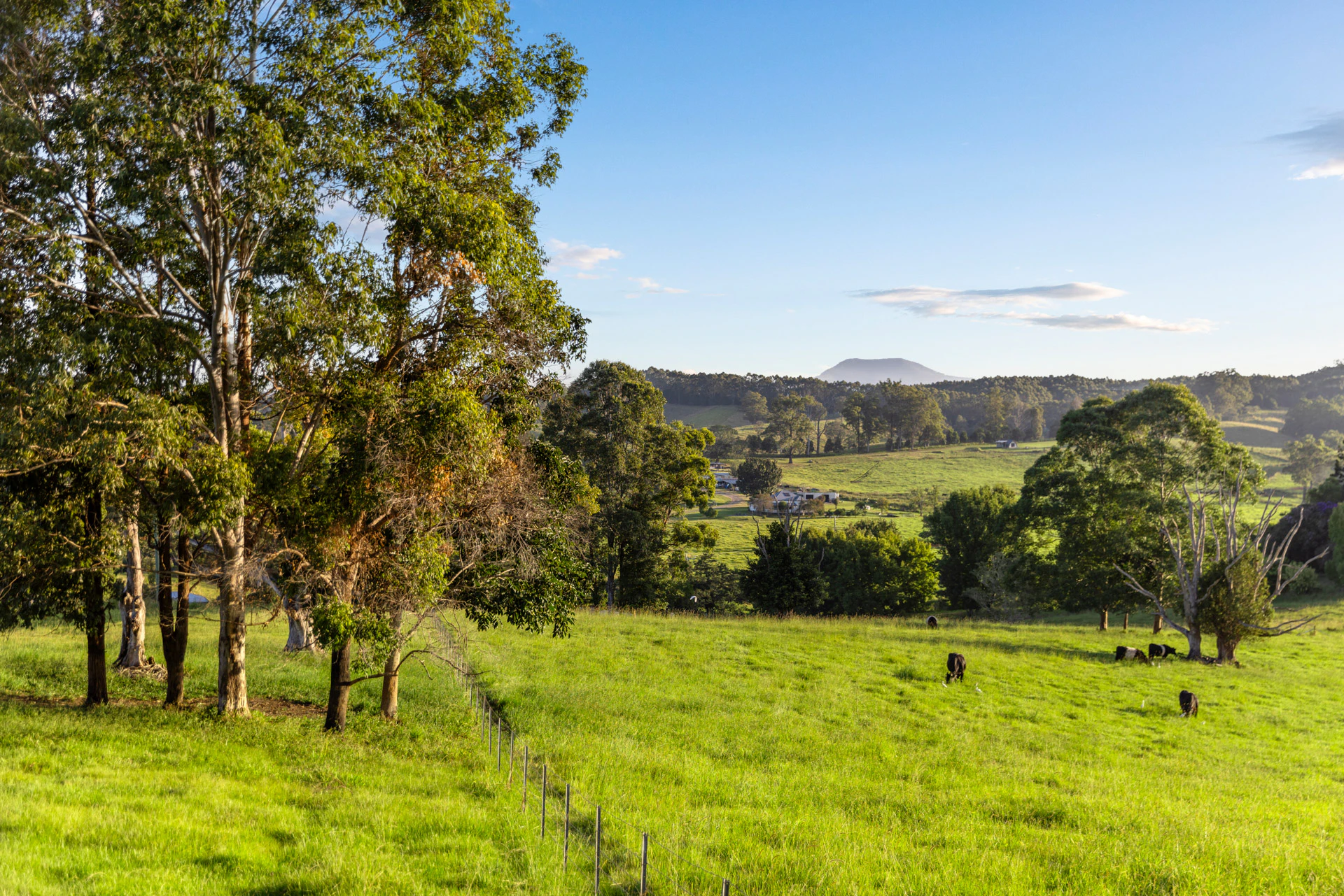 countryside