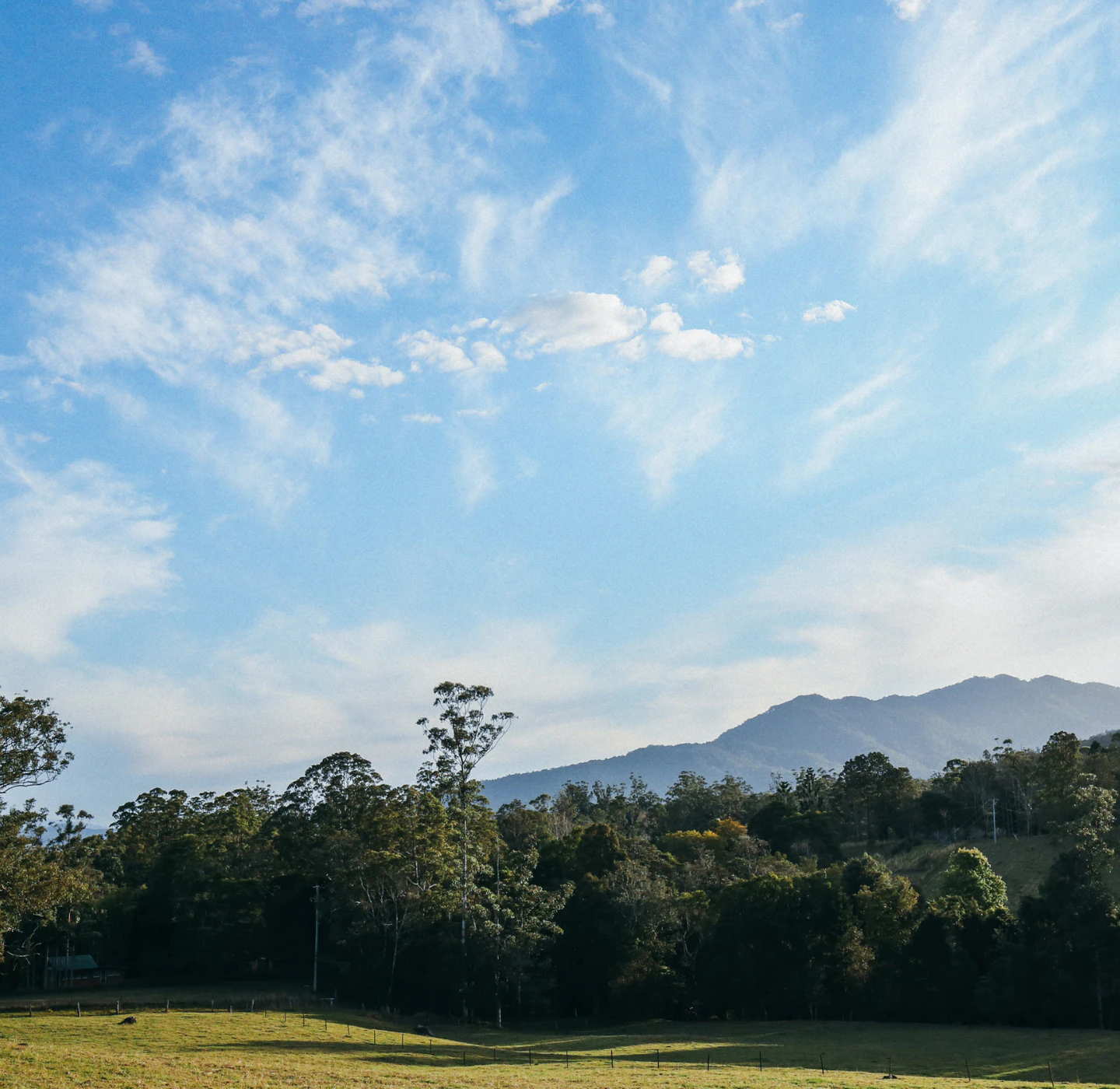 nature