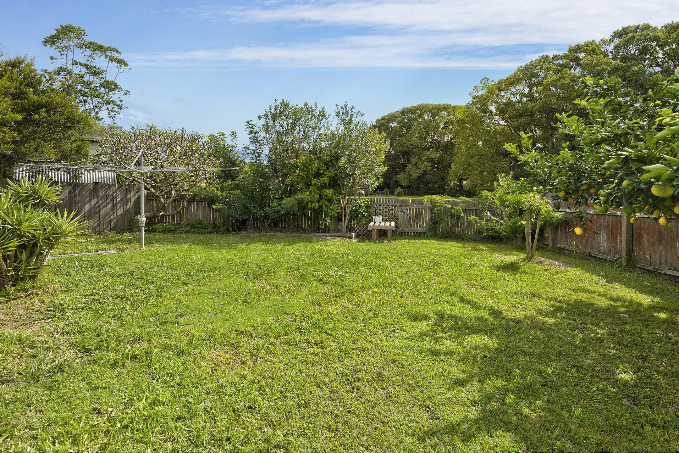 backyard