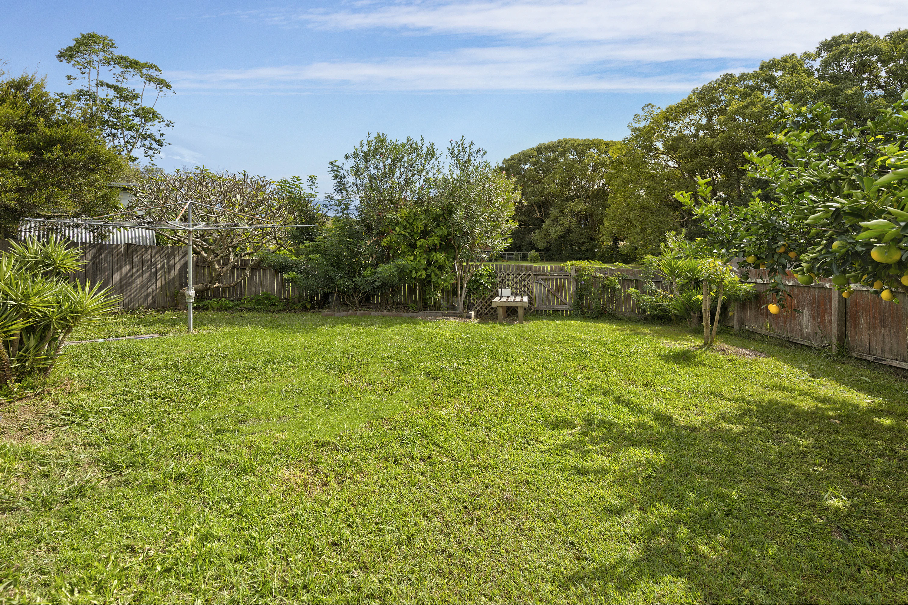backyard