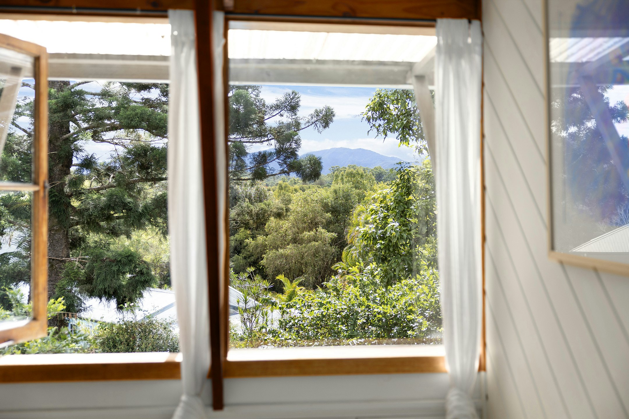window