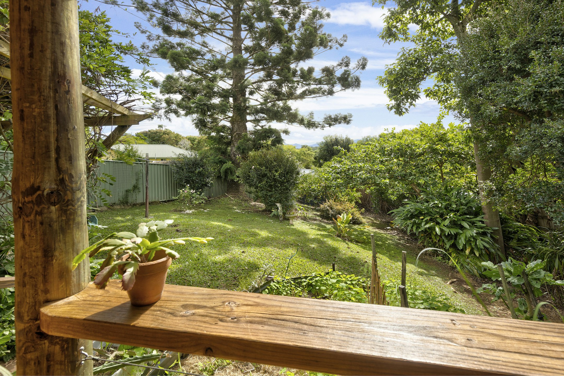 backyard