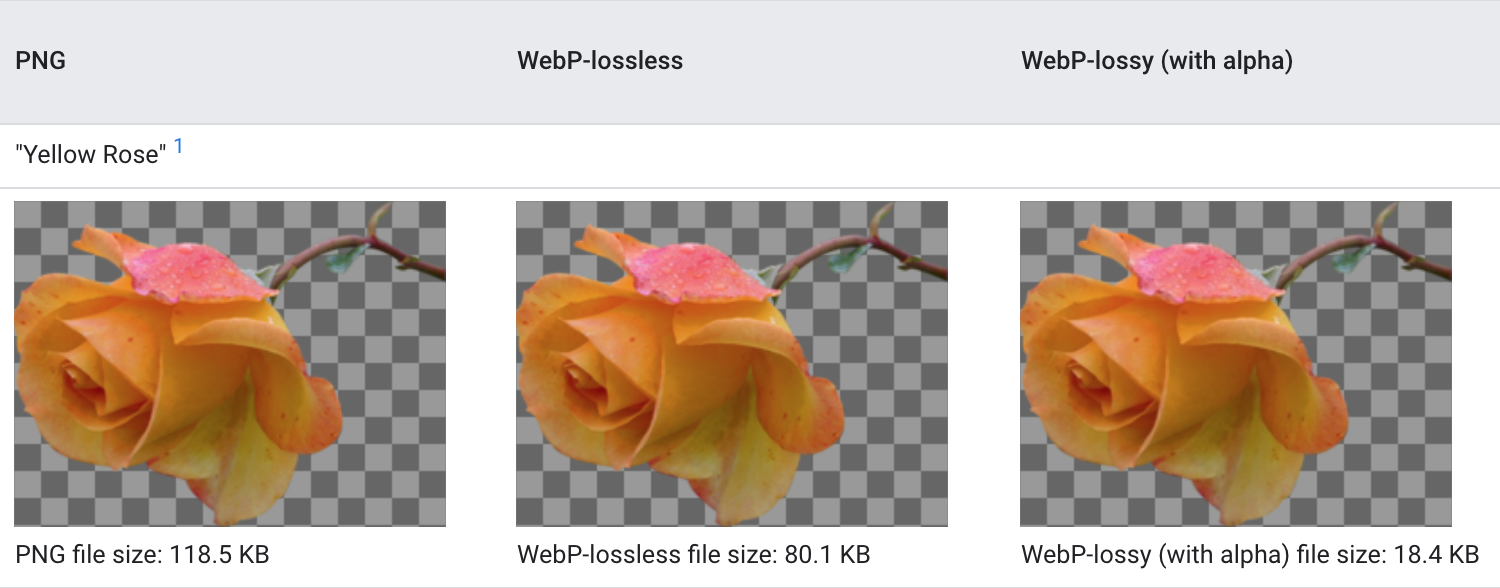 2.webp