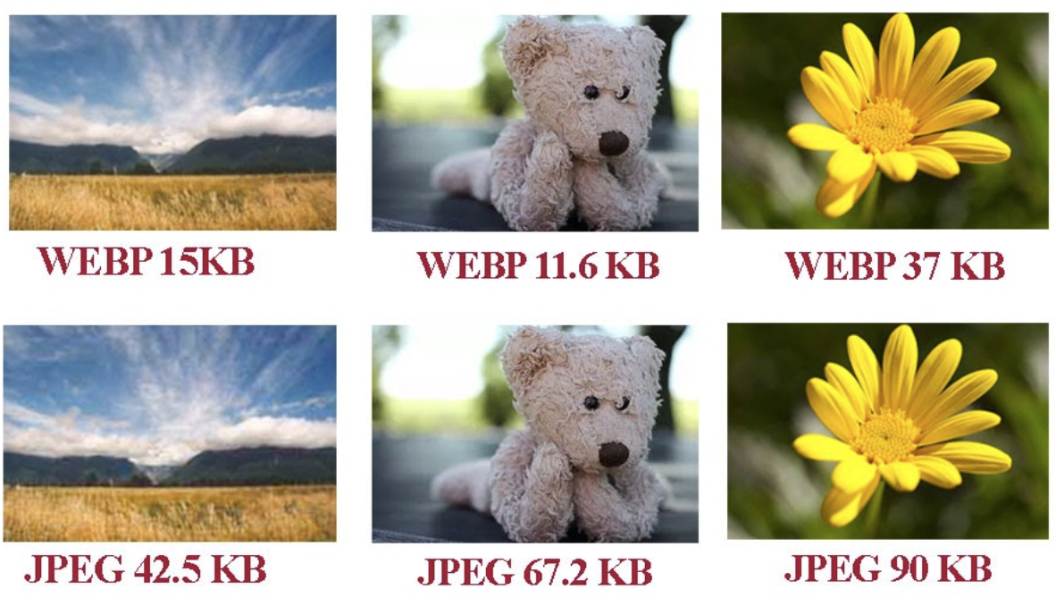 Формат webp. Webp изображения. Изображение в формате webp. Картинка webp .webp. Webp без потери качества