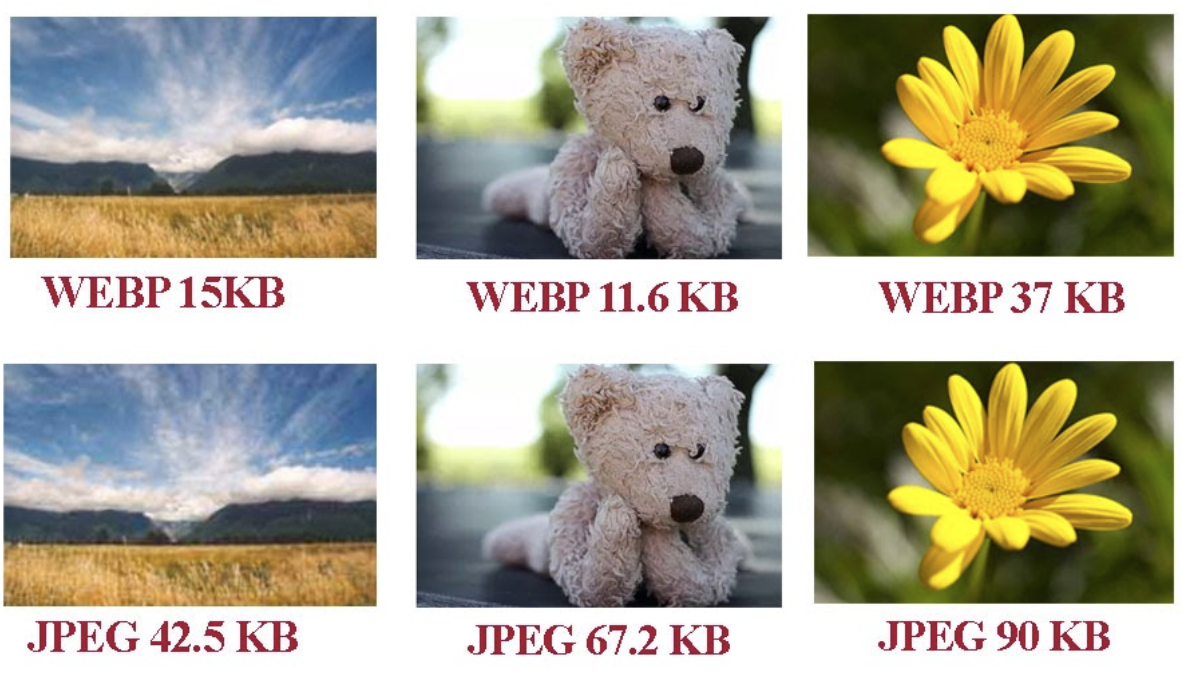 Формат webp. Webp изображения. Изображение в формате webp. Картинка webp .webp.