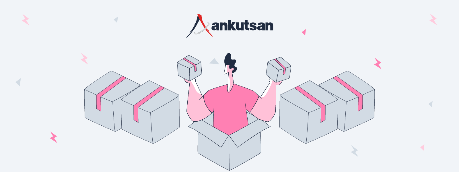 Ankutsan SEO Case Study