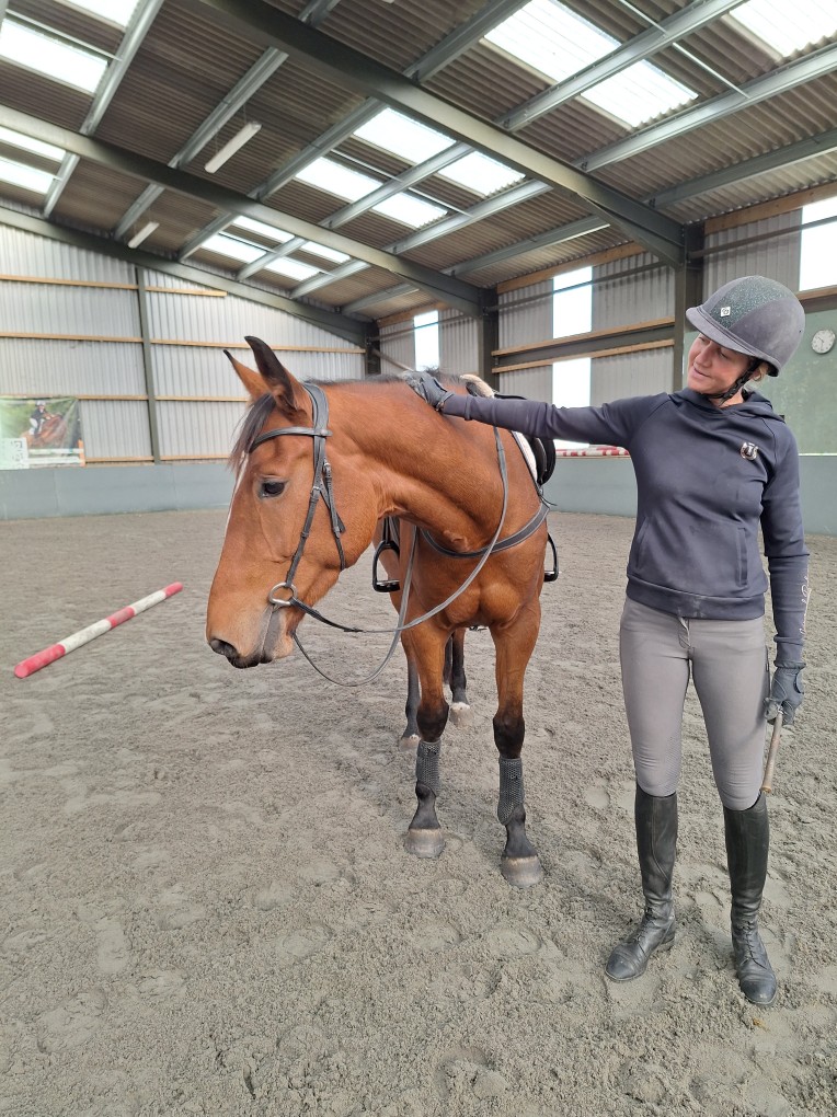 Equine Physiotherapy