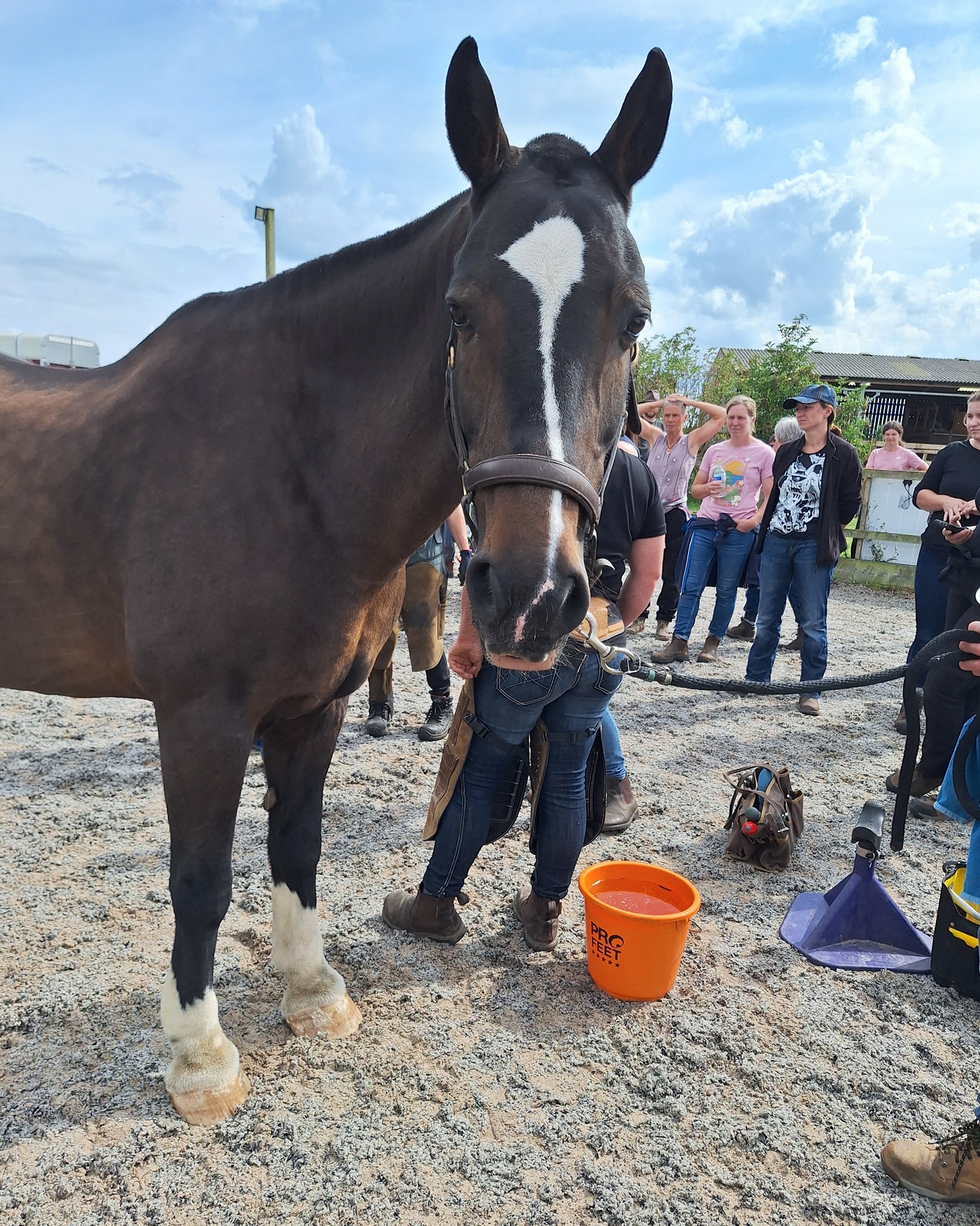 Welfare-First Approach