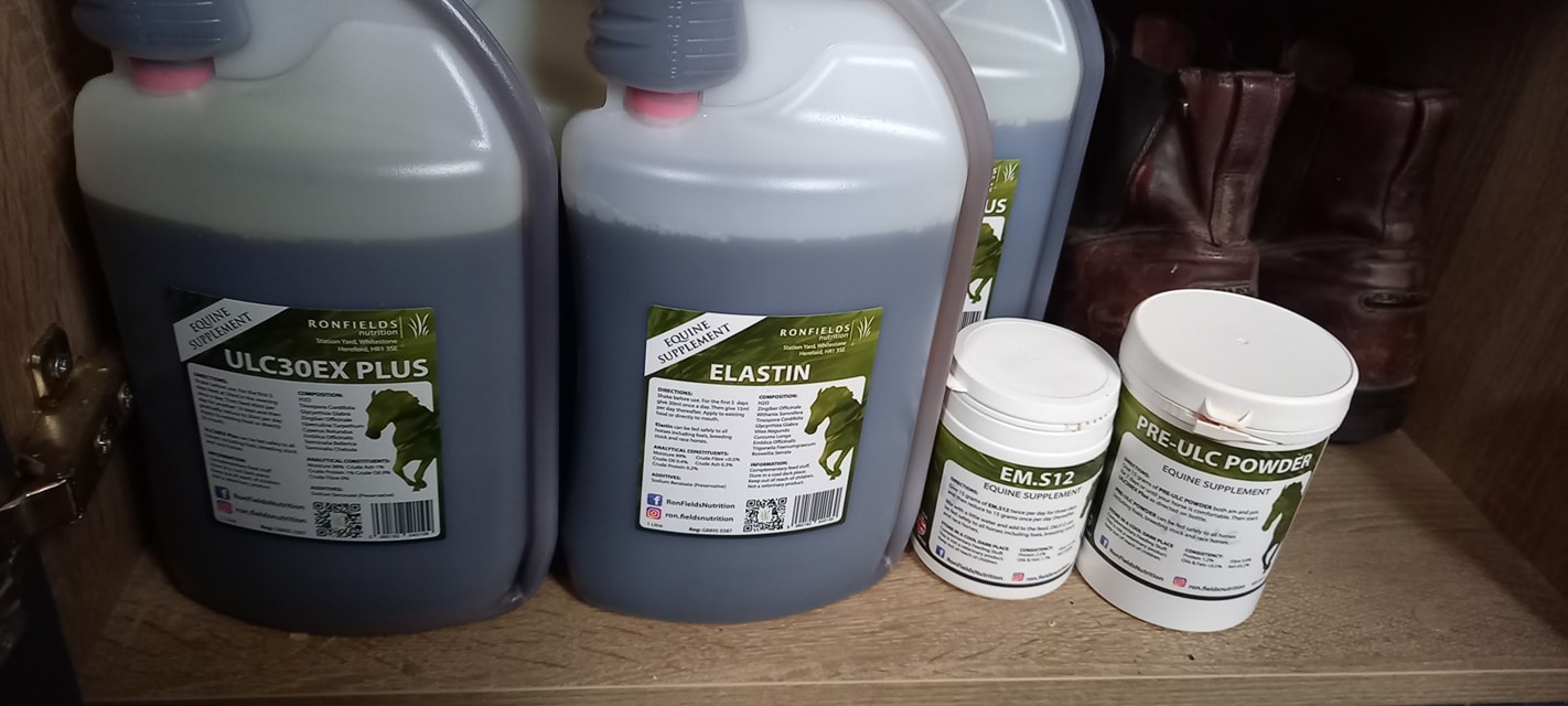 Personalised Treatment Plans