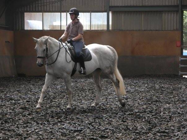 Is Your Horse Showing Contact Issues? Here’s What It Might Be Telling You