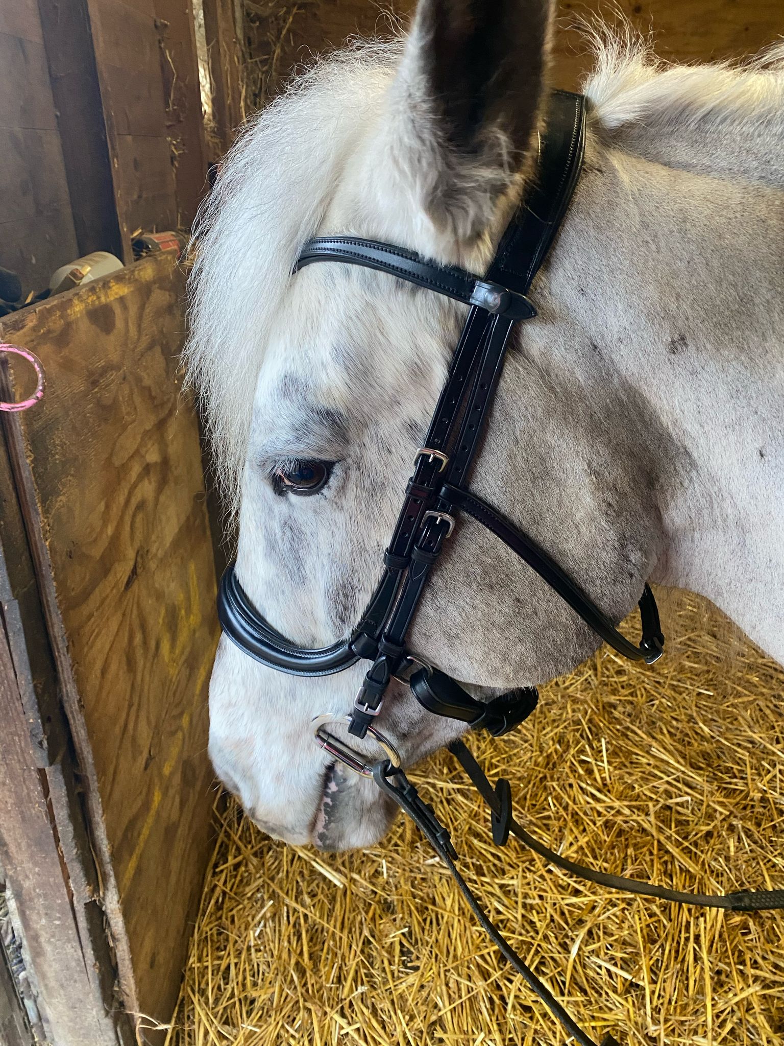 The Role of Headpiece Design in Improving Contact Quality