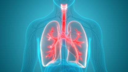 Love your lungs week- June 17th -23rd 2019 Love your lungs week- June 17th -23rd 2019