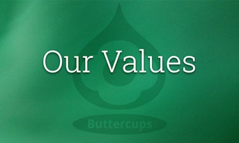 Our Values