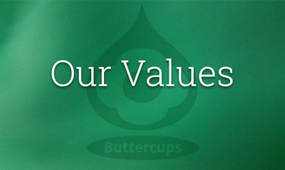 Our Values Our Values