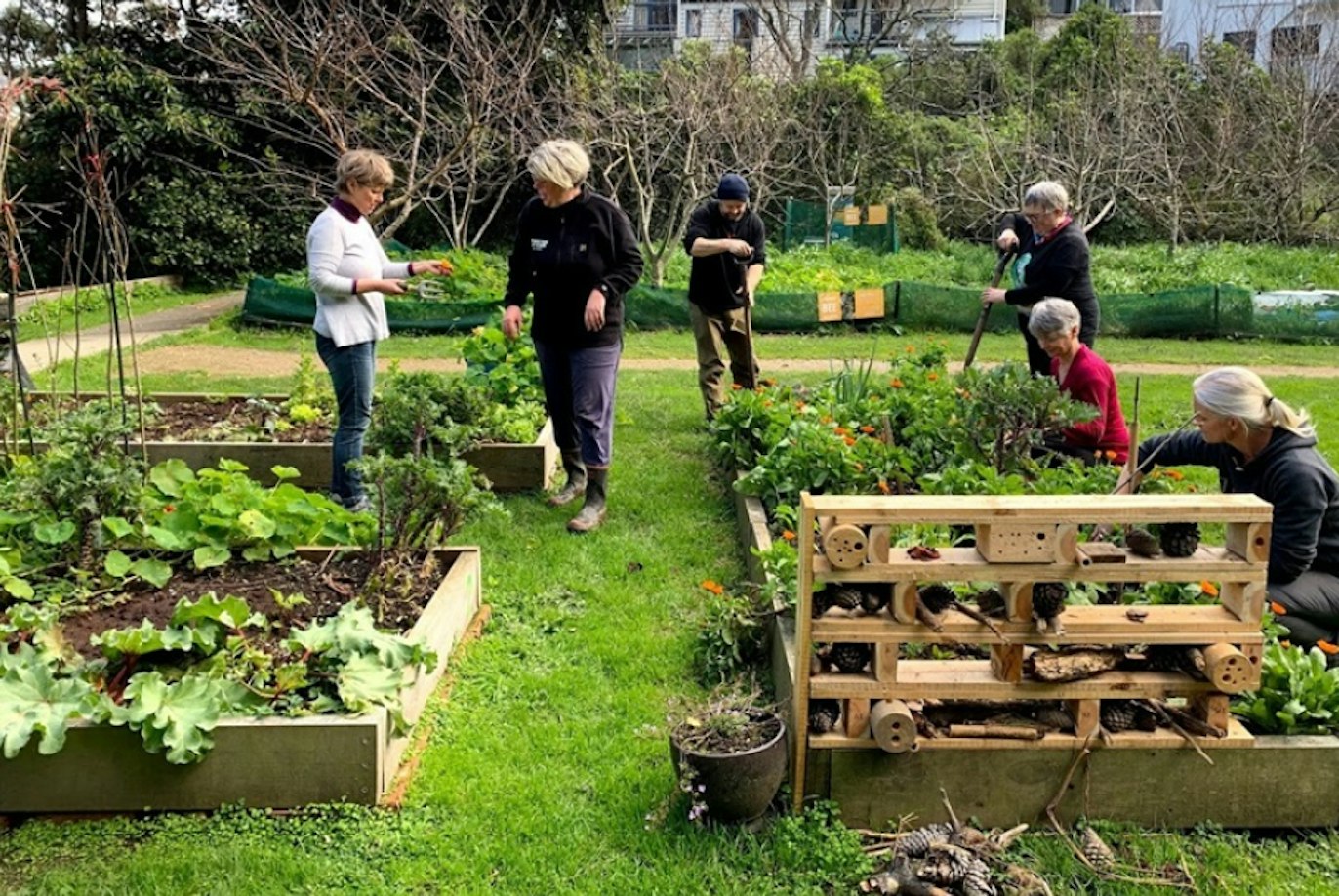 Allotment Image