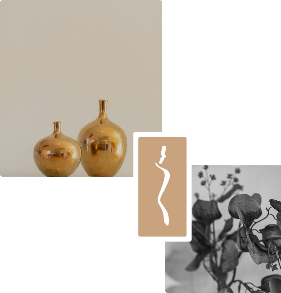 two vases and a plant