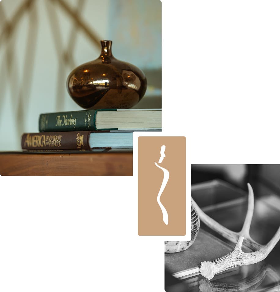books with a vase and an antler
