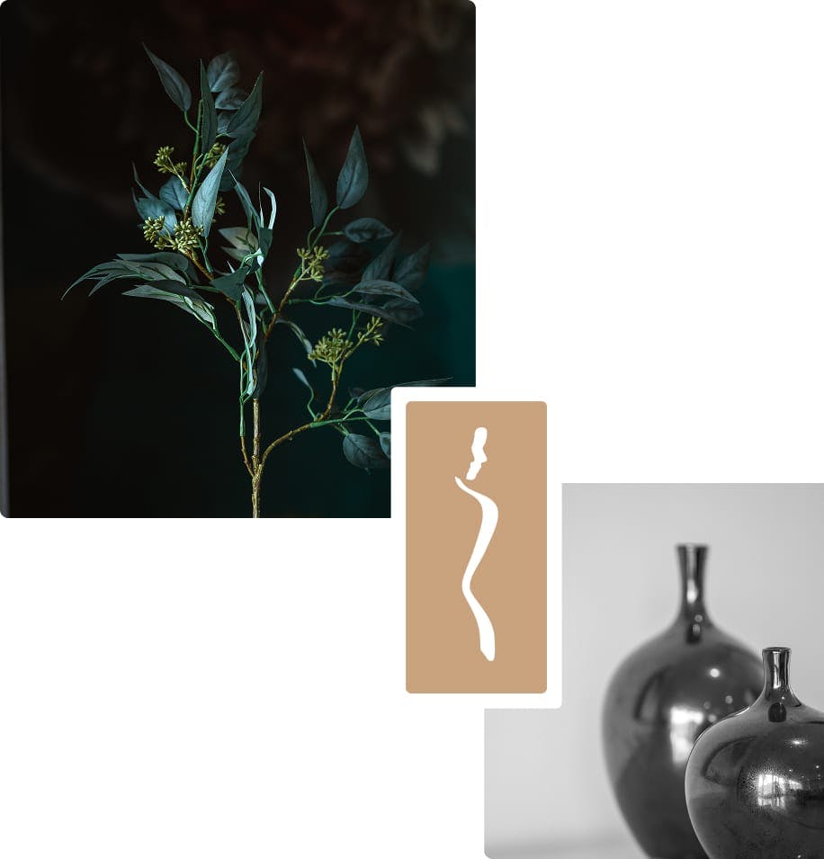 collage of images