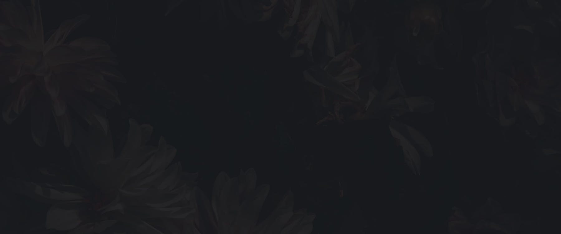 Banner media
