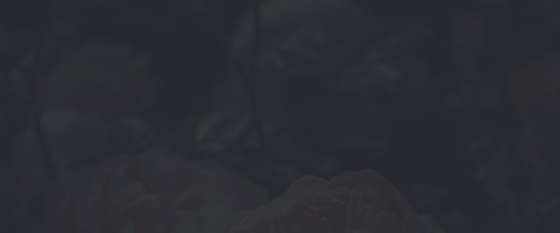 Banner media
