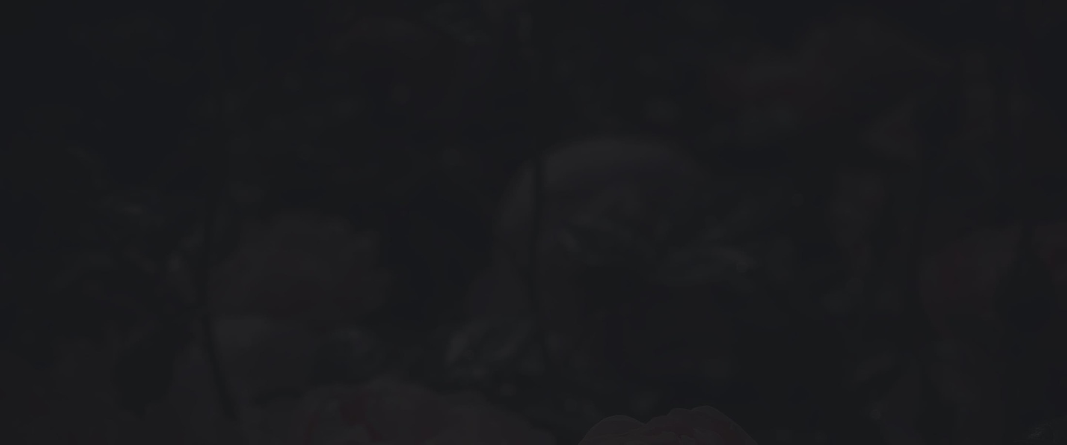 Banner media