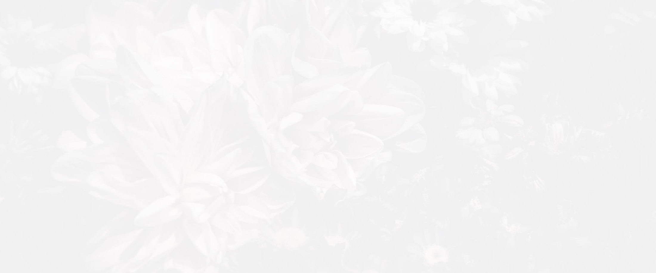 Banner media