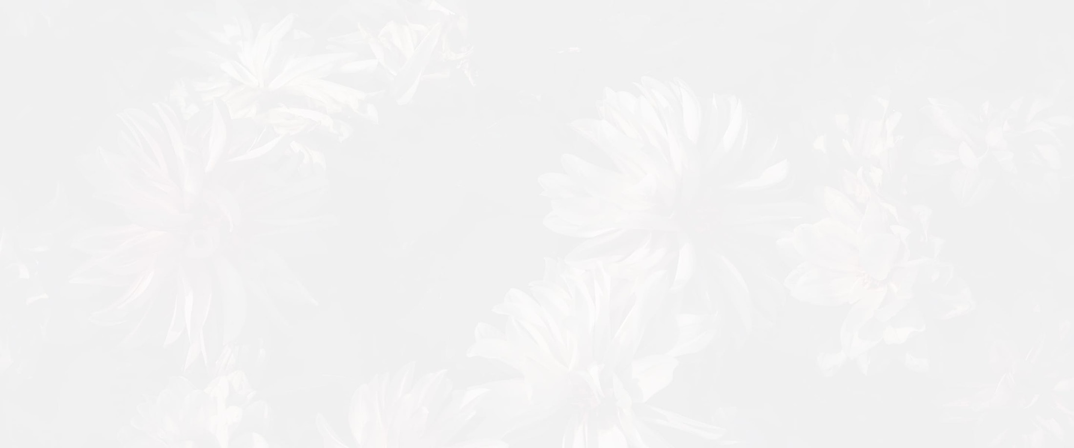 Banner media